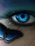 Sapphire Rayne
