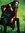 Marsha ...