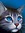 Dawnpaw