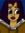 Indigo's icon