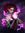 AgtDianaPrince | 13 comments