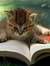 Avidreader