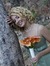 Samantha Smith