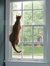 Julie Allyn