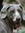 Peggy's icon