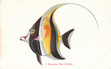 Ed Bierman