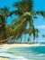 Dominicana