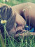 Dely♥