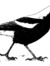 Magpie