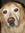 Sophie (Sophiecdog) | 10 comments