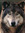 Caleb Blake (Caleb72) | 357 comments