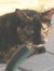 MsMaybelle