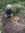 Anne Mathison