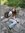 Helle