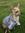 Kayla | 1081 comments