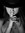 Elena R a.k.a. Lunies R