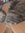 5098107