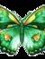 Zakiya the Walking Butterfly