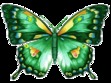 Zakiya