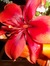 Emoore0916