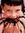 Phil