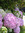 Terri | 95 comments