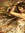 Persephone