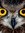 The Owl