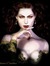 Elayne