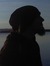 Christoffer Levin