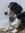 Carl | 256 comments
