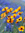 Diana S | 57 comments