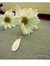 ضحى
