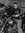 Daniel Belew | 8 comments