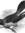 Genetic Cuckoo's icon