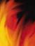 Phlaemmle