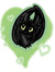 Night Fury