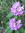 Connie | 323 comments