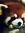 Stef (firecat) | 59 comments