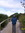 Annalie | 68 comments