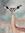 Rima's icon