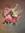 Amy (Bo...