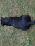 Ethel