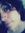 Diana (wonderbooks) | 2 comments