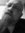 Mark (romeosidvicious) | 5 comments