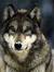 Wolfie