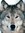 Wolfboy