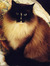 Jackie