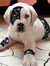 Robopuppy