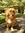 Winnie